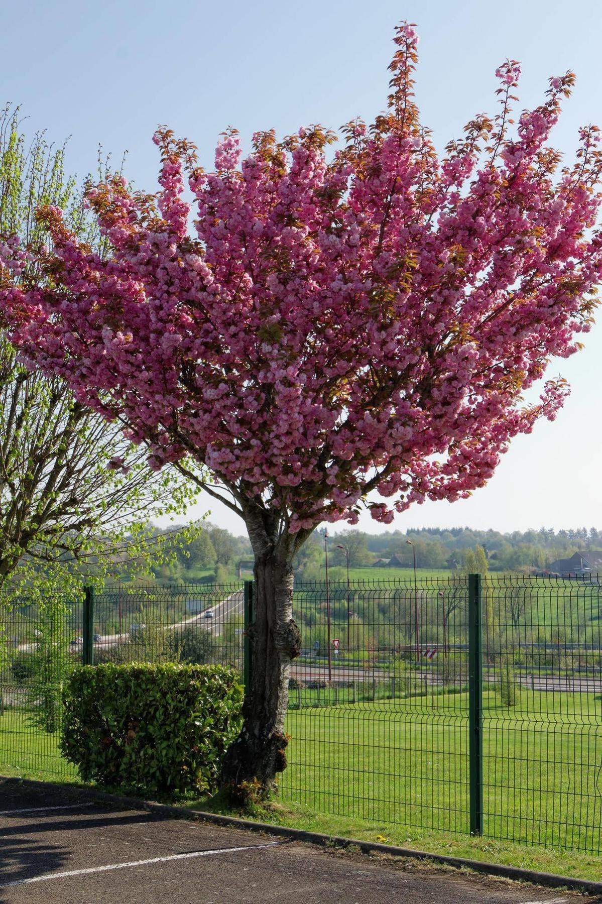 Fasthotel Le Mans Nord Fh Confort Saint-Saturnin  Luaran gambar